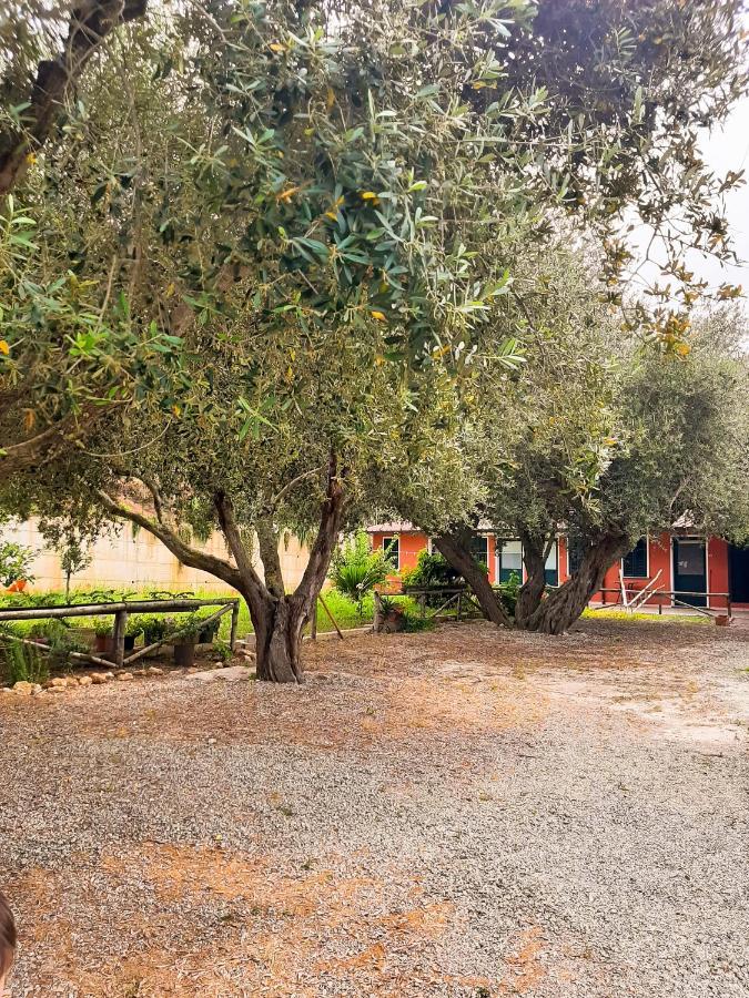 Locanda Adele Parghelia Exterior foto